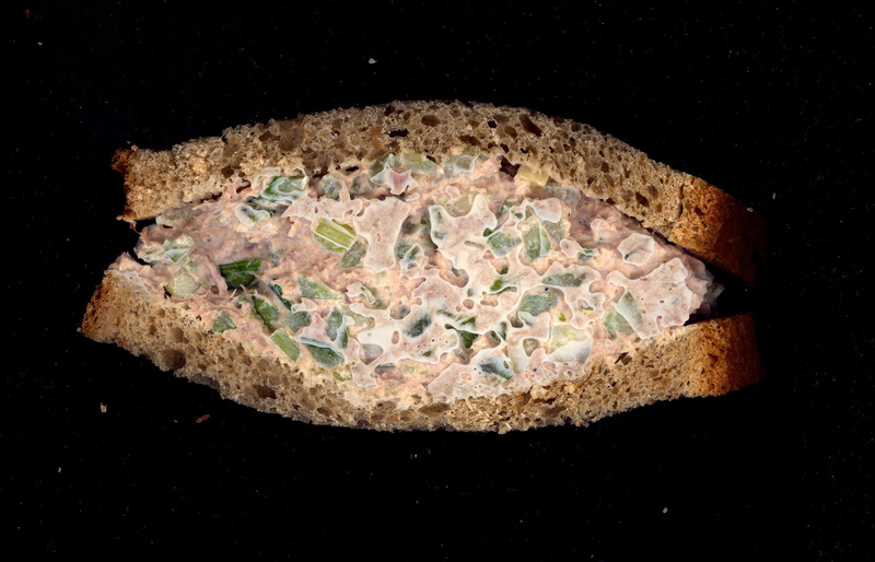 Illustration for article titled The Genius Behind Scanwiches.com's Juicy Sandwich Porn